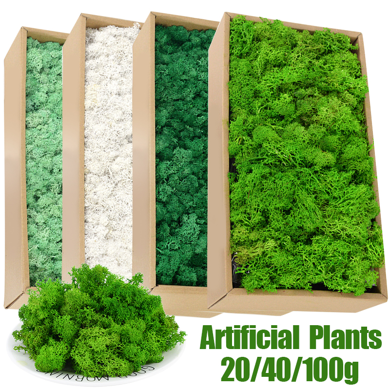 20/40/100g Artificial Green Pl - Sphagnum Moss Dry 评论和价格