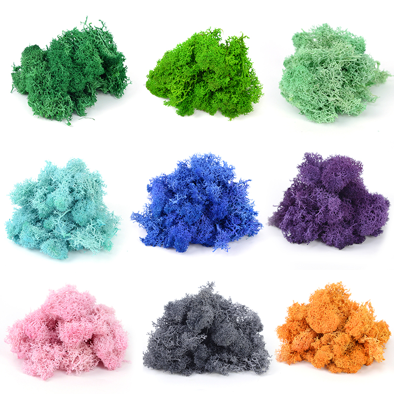 20/40/100g Artificial Green Pl - Sphagnum Moss Dry 评论和价格