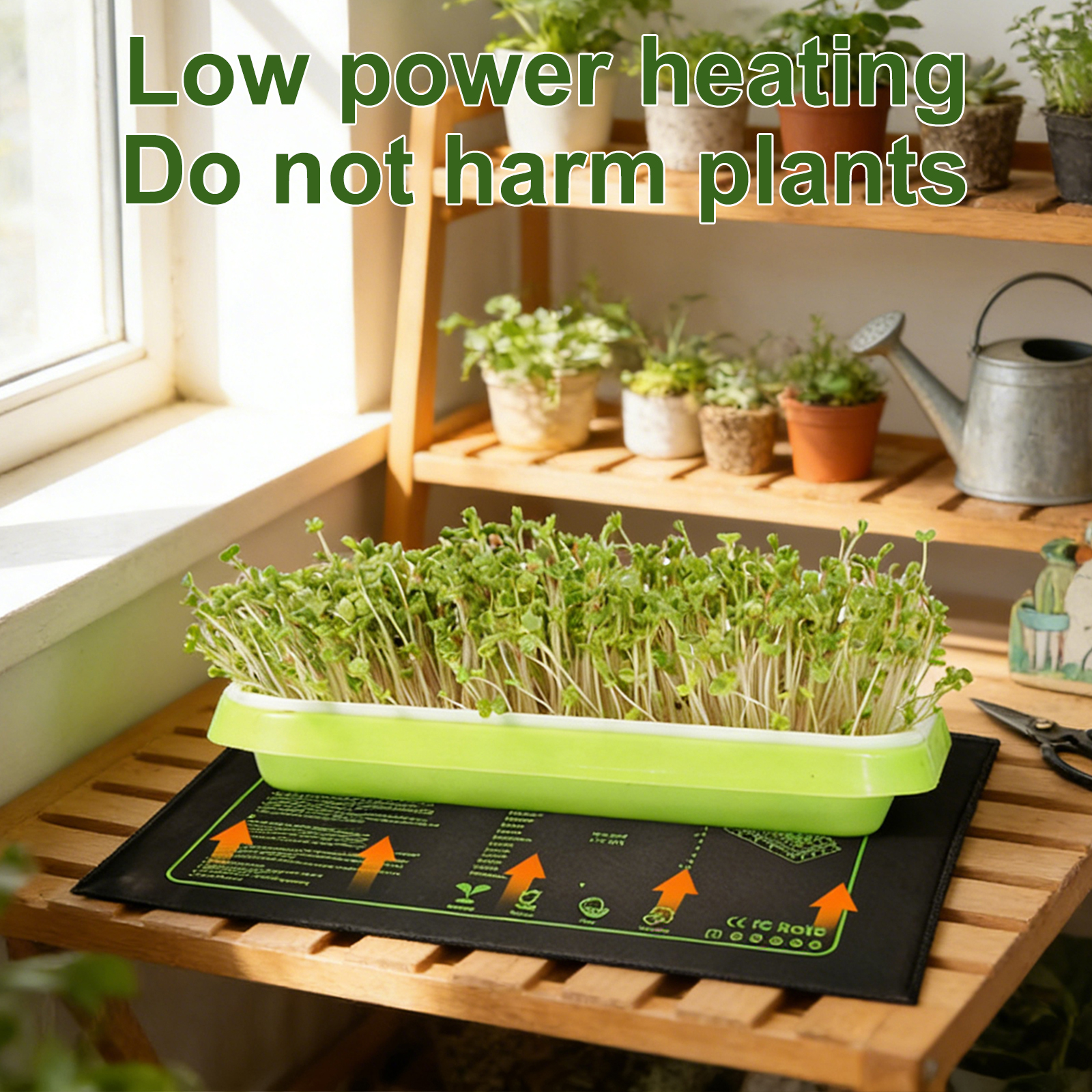 20W Plants Seedling Heating Pa - Heat Mat Seedling 评论和价格