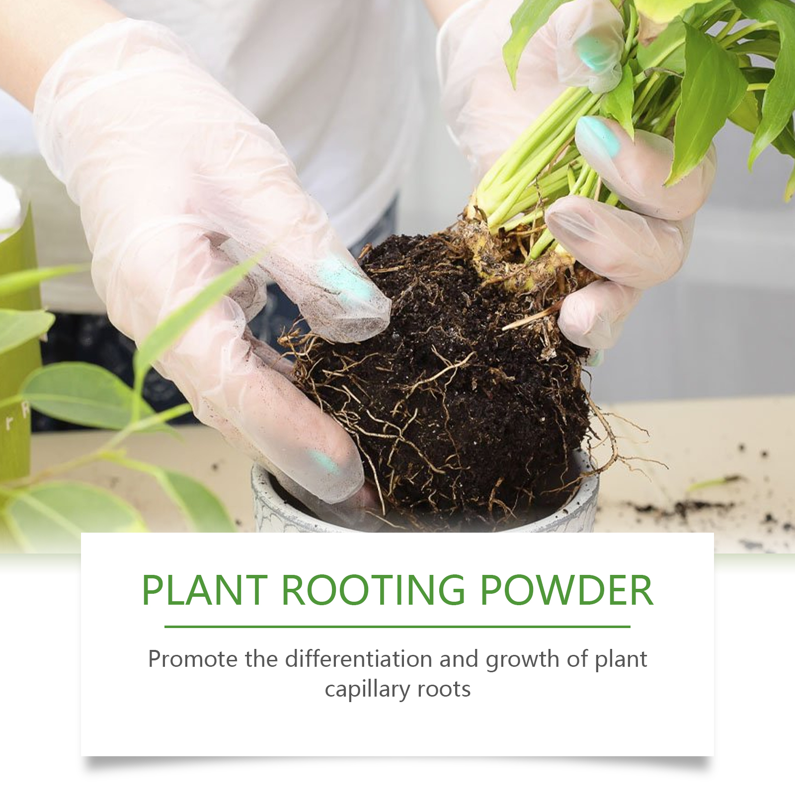 100g Plant Rooting Powder for  - Rooting Hormone Powder 评论和价格