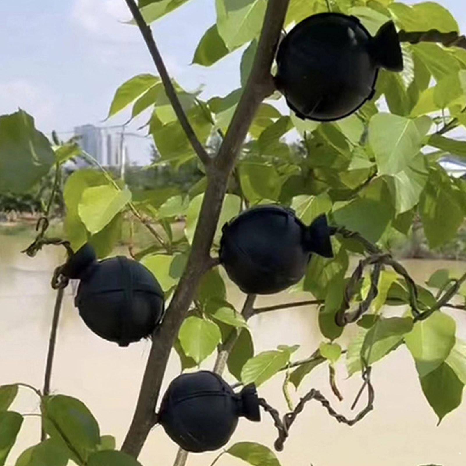 Garden Orchard Plants Grafting - Rooting Gel Clone 评论和价格