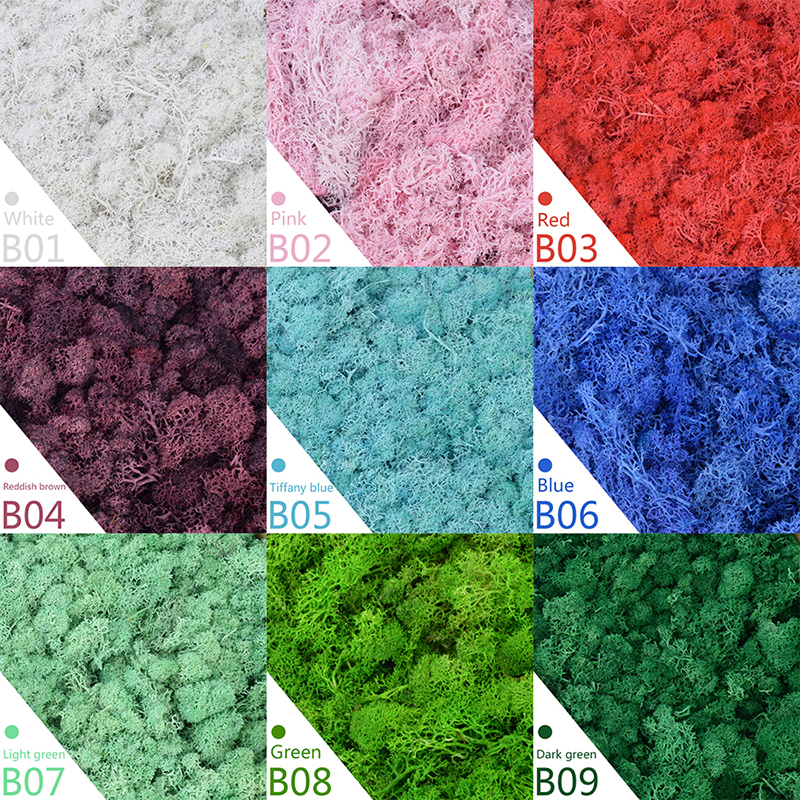 40/20g Artificial Moss Grass G - Sphagnum Moss Dry 评论和价格