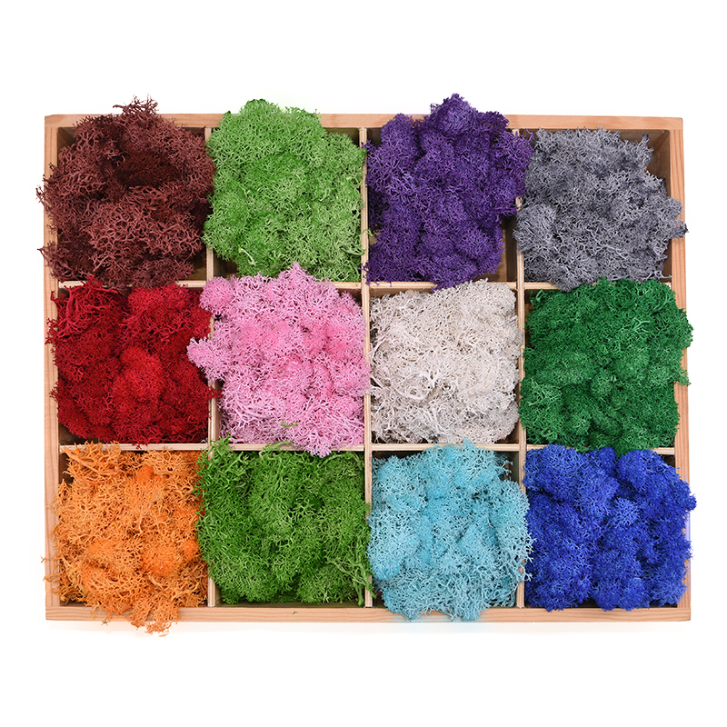 20-40g Artificial Natural Plan - Sphagnum Moss Dry 评论和价格